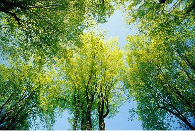 美国6万电影人计划罢工 多部影片拍摄将搁置